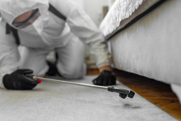 Professional Cockroach Control technician working in Manatee Road, FL